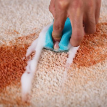 Carpet Fibre Rinse