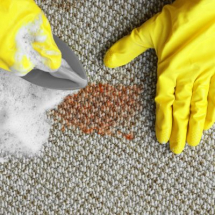 Carpet Spot & Stain Removers