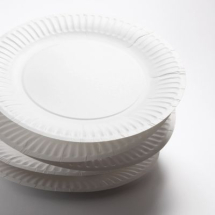 Disposable Tableware