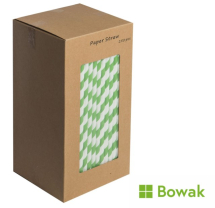 Paper Straws 20cm (8inch) Green/White