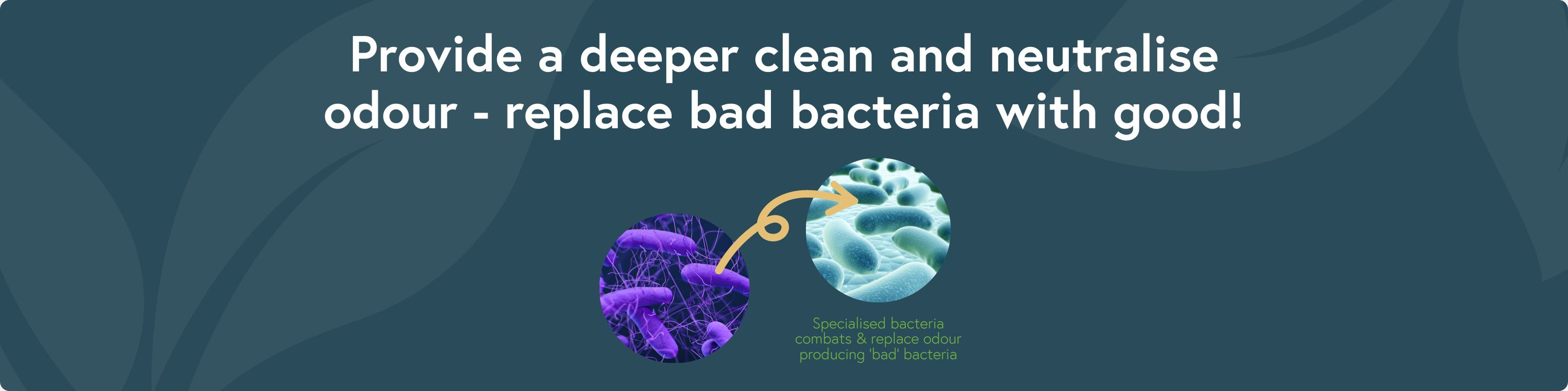 ntrl bacteria information