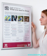 Health & Safety Law Poster 2009