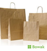 Kraft Carrier Bag with Twist Handle 12x17x16inch